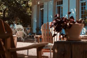 David AMADIEU - AMADIEU DAVID