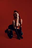 David AMADIEU - AMADIEU DAVID